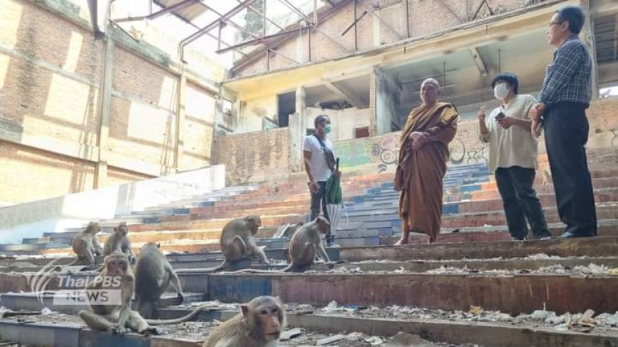 Mueang District, Lopburi Province, which has been affected by monkeys for more than 20 years, said that the trading area in that area  Severely invaded by monkeys  Affecting trade  Make that area become a wasteland