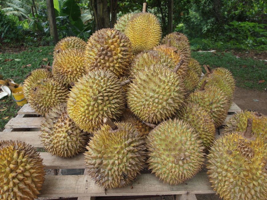 Durian sales are surging in China as demand rises.