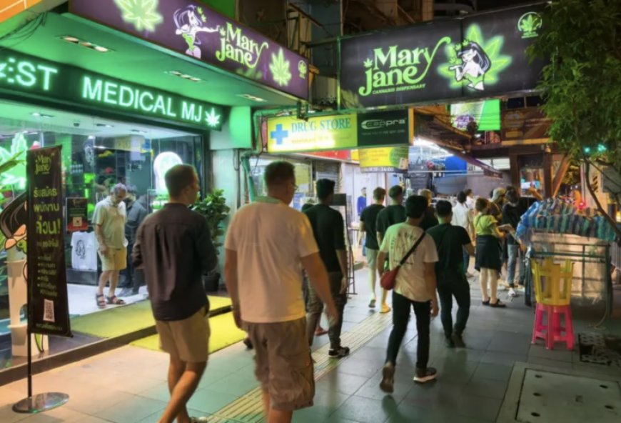 POLL SHOWS MOST THAIS WANT CANNABIS RECLASSIFIED AS A NARCOTIC