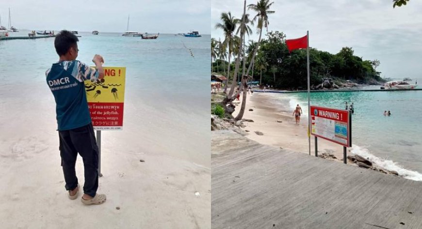 Special warning for Phuket residents and tourists! The appalling conditions seen around the Racha Islands
