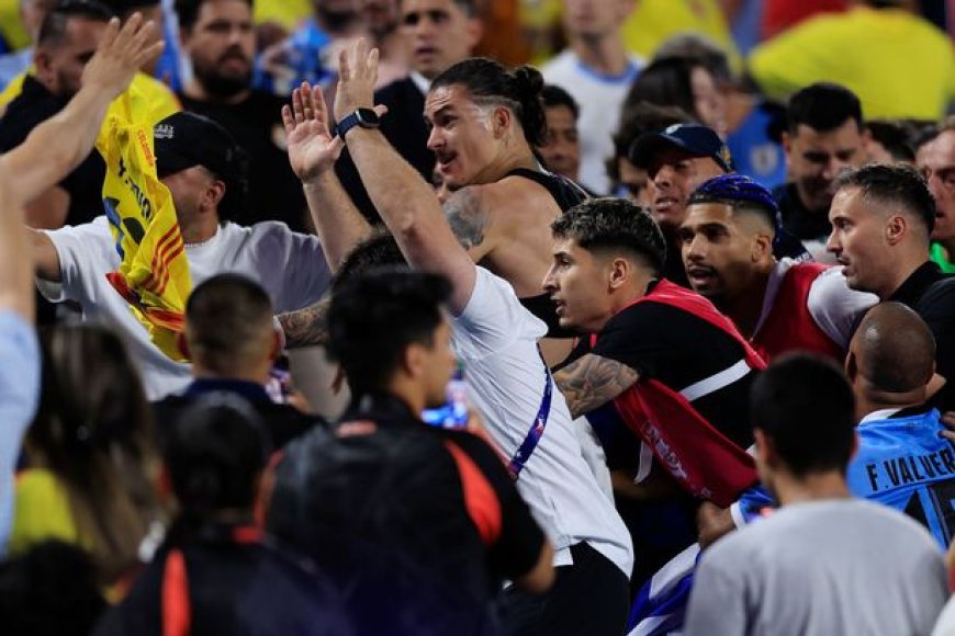 Liverpool’s Darwin Nunez Involved in Altercation with Colombia Fans After Uruguay's Copa America Defeat