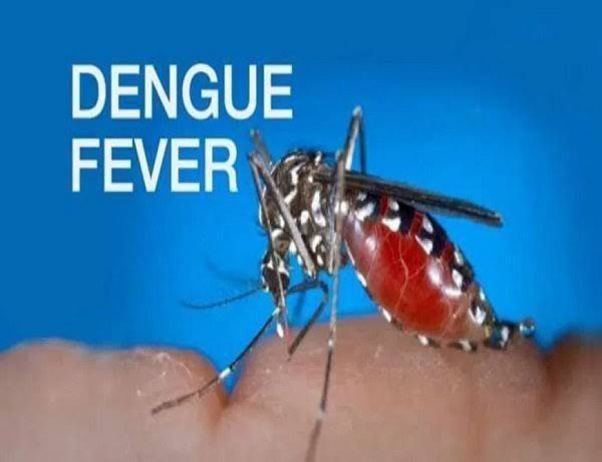 Phuket leads in dengue crisis: Kids worst hit in southern Thailand