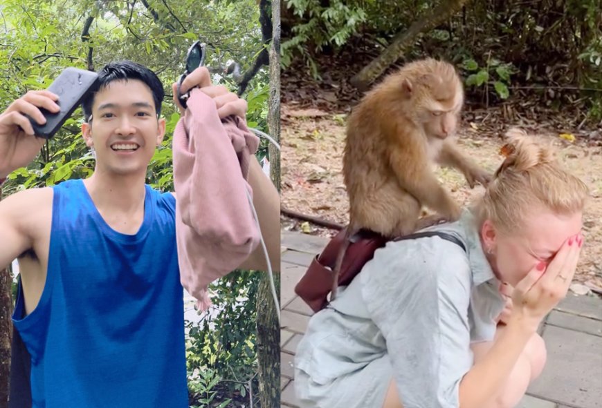 Officer monkeying around: Phuket cop saves Russian’s bag