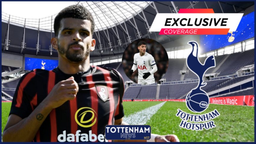 Tottenham Have Three Players Bournemouth Might Accept in Dominic Solanke Swap Deal