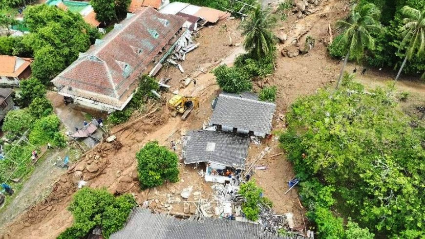 Phuket deadly landslide leaves officials scrambling for answers