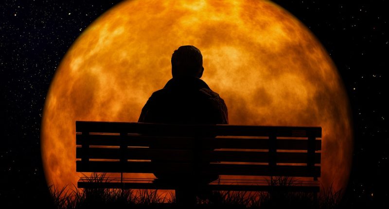 crypto vs bank in future - Phuket Times