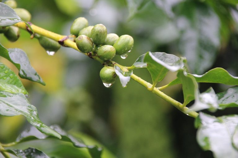 best photography spots in phuket - Phuket Times Travel